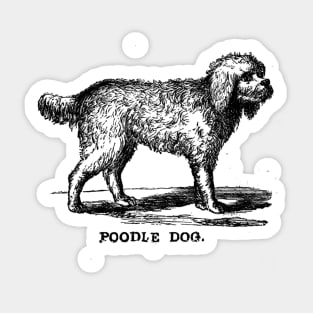 Poodle dog Sticker